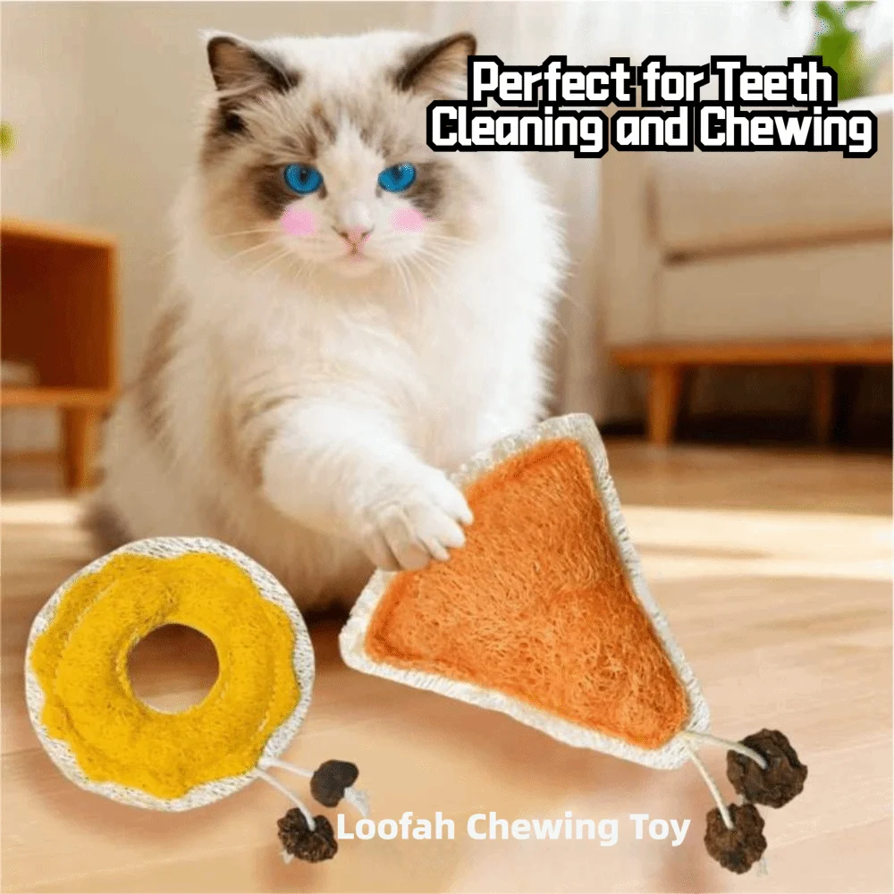 A fluffy white cat is sitting next to an orange loofah chewing toy for teeth cleaning and chewing.