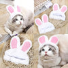 Adorable Pet Hat for Cats and Small Dogs