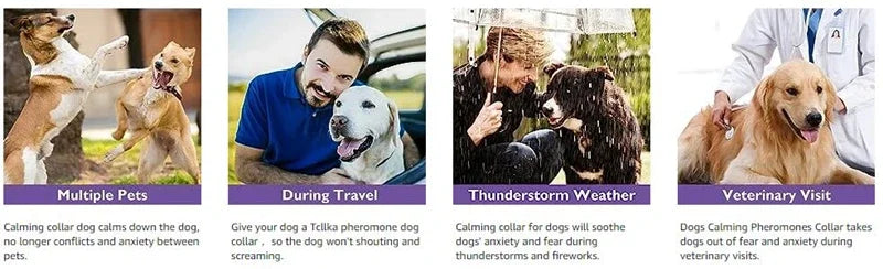 Images showing various uses of a pet pheromone calming collar for dogs including multiple pets, during travel, thunderstorm w