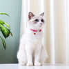 Reflektierendes Nylon-Hundehalsband mit Glocke und Namensschild