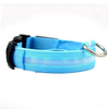 A bright blue reflective LED dog collar with a silver clasp and black accents.