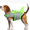 A brown and white dog wearing a bright lime green life jacket for swimming.