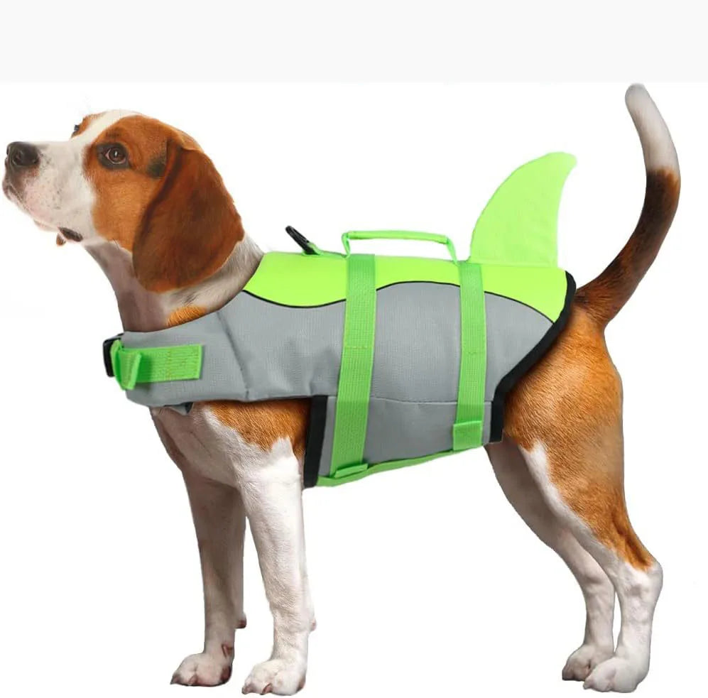 A brown and white dog wearing a bright lime green life jacket for swimming.
