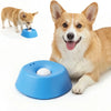 Anti-Gulping Slow Feeder Dog Bowl