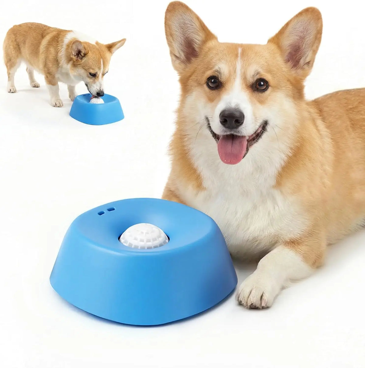 Anti-Gulping Slow Feeder Dog Bowl