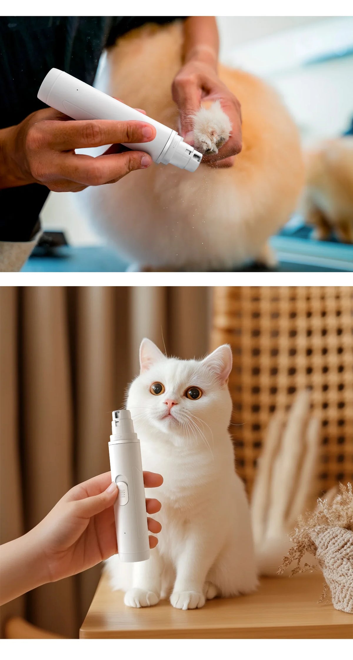 A person is using a cordless electric pet nail grinder with an LED light and polishing wheel on a white cat's paw.