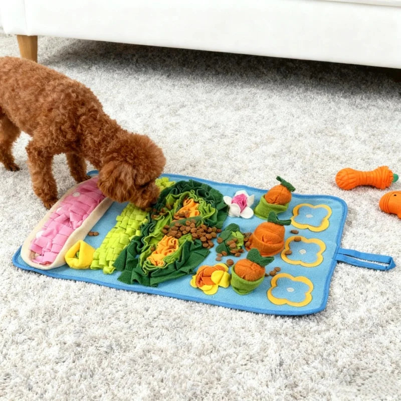 Alfombrilla Interactiva para Perros