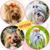 Cute Handmade Dog Bow Hair Accessories with Rubber Bands (200 Pack)
