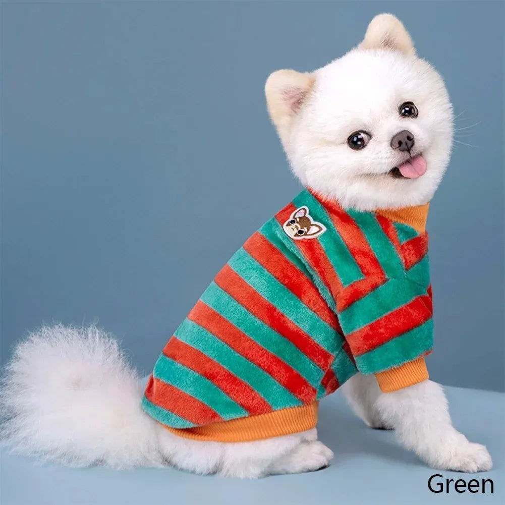 A white dog wearing a striped orange and green flannel sweater.