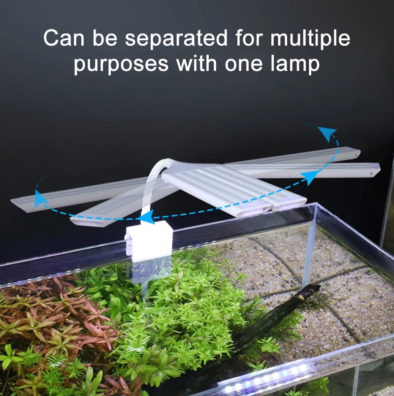 Lampe LED à pince réglable pour aquarium
