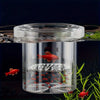 Floating Fish Breeding Box for Aquarium Hatchery & Isolation