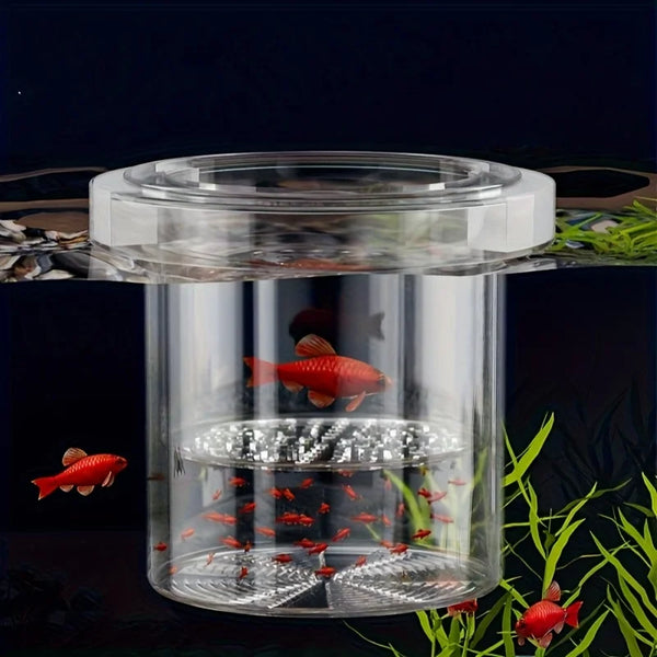 A clear glass floating fish breeding box containing several red goldfish for isolation and breeding.