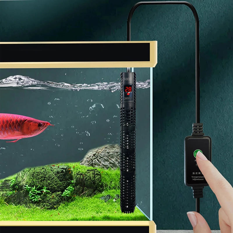 Digitales Tauchbecken-Heizgerät mit schwarzem Schlauch und Temperaturanzeige über einem Glasbehälter