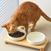 Elevated Ceramic Cat & Dog Bowl with Stand – 2-in-1 Food and Water Feeder