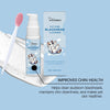 Kit de soins dentaires pour chiens et chats