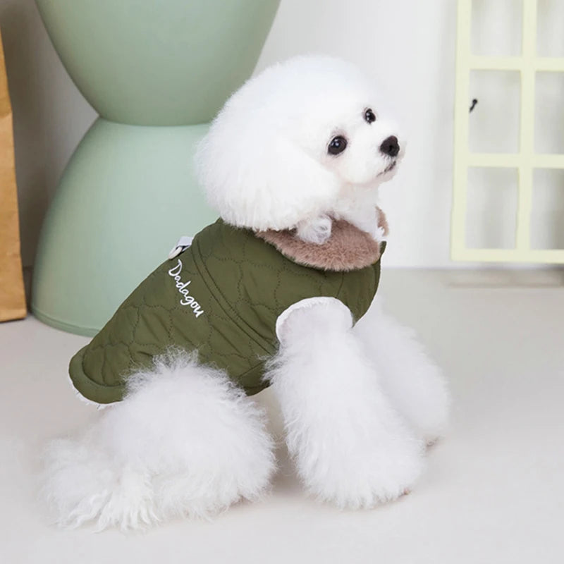 Un caniche blanc portant une veste de chien imperméable en polaire olive avec un col en fourrure marron.