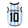 Maillot de l'équipe nationale d'Argentine avec des rayures bleu clair et blanc verticales et un écusson doré.