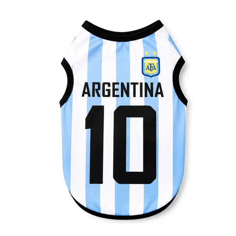 Maillot de l'équipe nationale d'Argentine avec des rayures bleu clair et blanc verticales et un écusson doré.