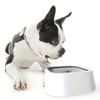 Spill-Resistant Slow Water Feeder Bowl for Dogs