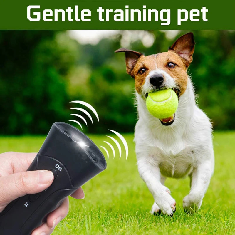 Ein Hund spielt mit einem Ball, während ein Ultraschall-Trainingsgerät Schallwellen aussendet.