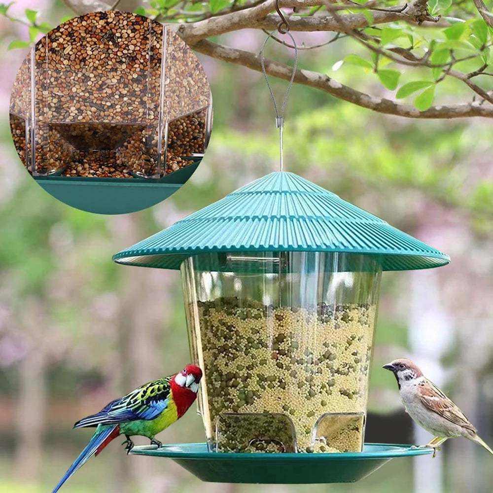 A window-mounted bird feeder with a clear viewing panel filled with seeds, hanging from a branch.
