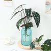 Artificial Hydroponic Plant with Visible Roots – Lifelike Greenery for Home & Event Decor