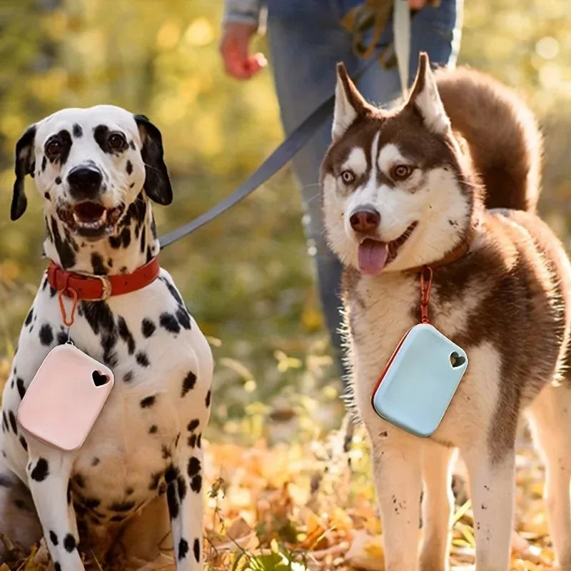 A dog with a pink silicone treat pouch is walking outdoors with a person.