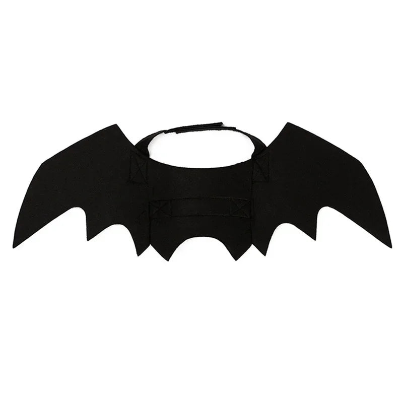 Costume d'aile de chauve-souris noire avec sangle pour animal de compagnie