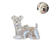 Pet Hair Keepsake Keychain with Transparent Capsule