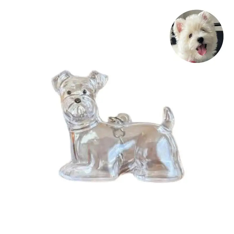Pet Hair Keepsake Keychain with Transparent Capsule