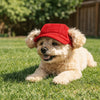 Breathable Pet Sun Hat with Ear Holes and Adjustable Strap