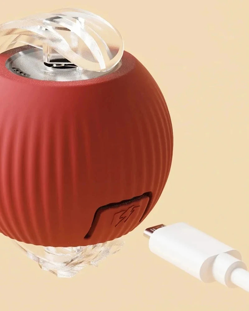 Cat Interactive Ball Toy for Kitten