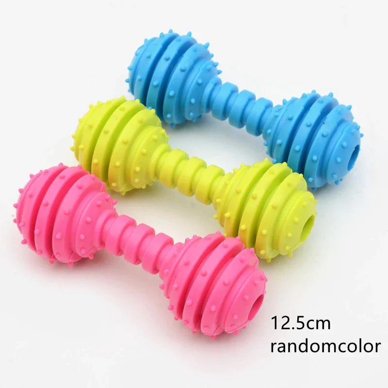 Durable Rubber Chew Toy for Small Dogs