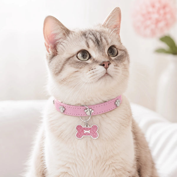 A light gray cat wearing a pink collar with a bone-shaped paw print tag.
