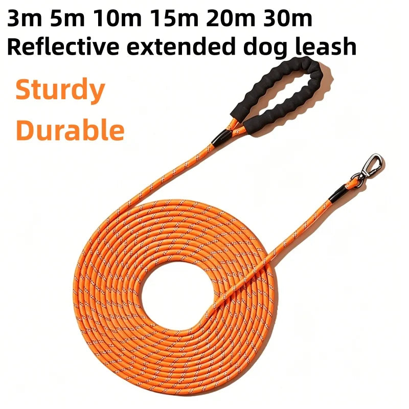 Orange reflective extended dog leash coiled on a white background.