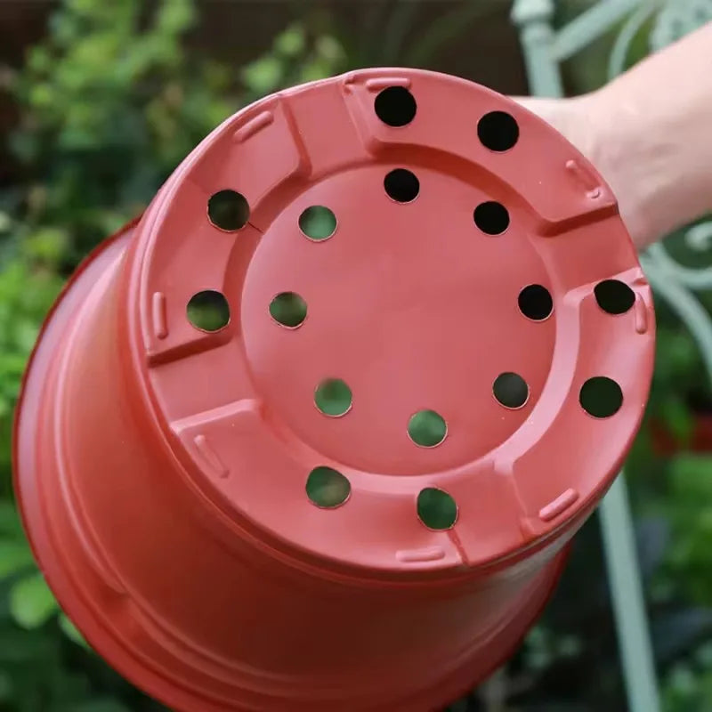 Plastic Plant Nursery Pots with Drainage Holes (Set of 10)