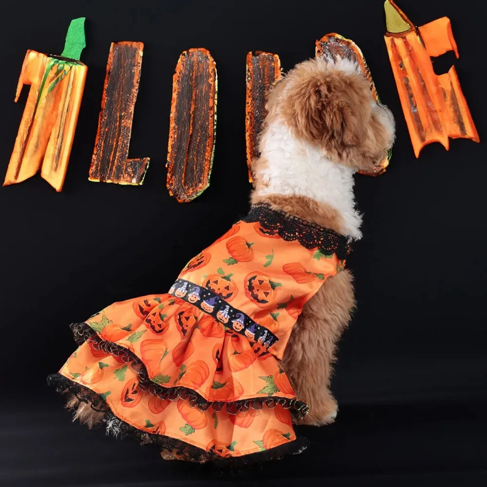 Pumpkin Lace Dog Dress for Small Dogs