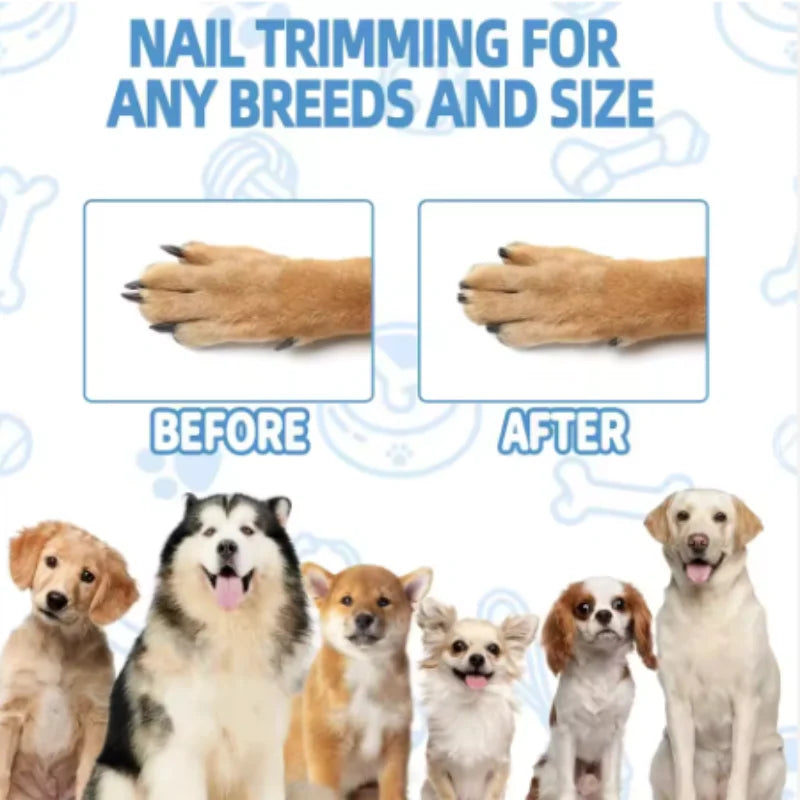 Wooden Pet Scratching Board with Pull-Out Treat Box