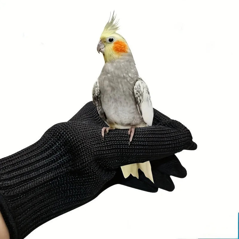 A small yellow and gray bird is held in a black knitted glove for training purposes.