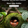 A small lizard is visible inside a spherical nest made of green moss, used as a reptile terrarium decor.