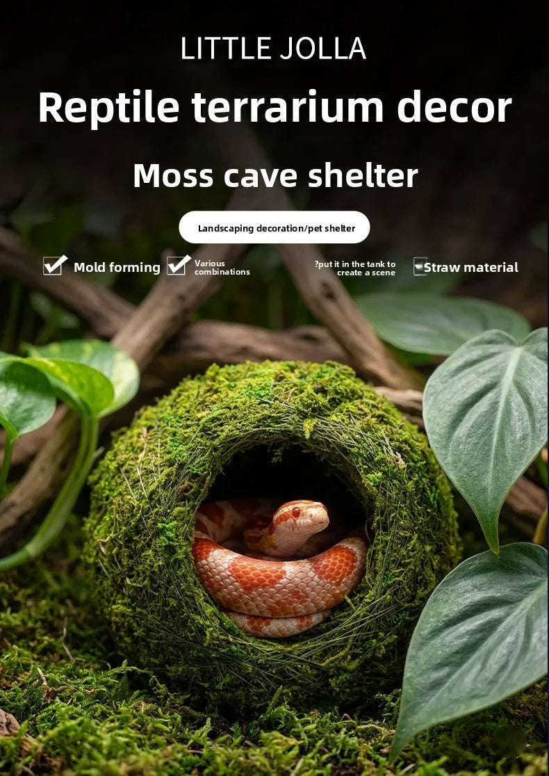 A small lizard is visible inside a spherical nest made of green moss, used as a reptile terrarium decor.