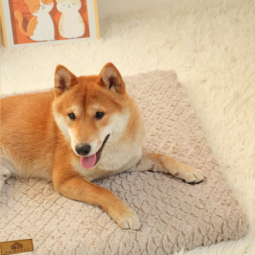 Un chien Shiba Inu orange allongé sur un lit orthopédique en mousse beige avec une housse en fausse fourrure.