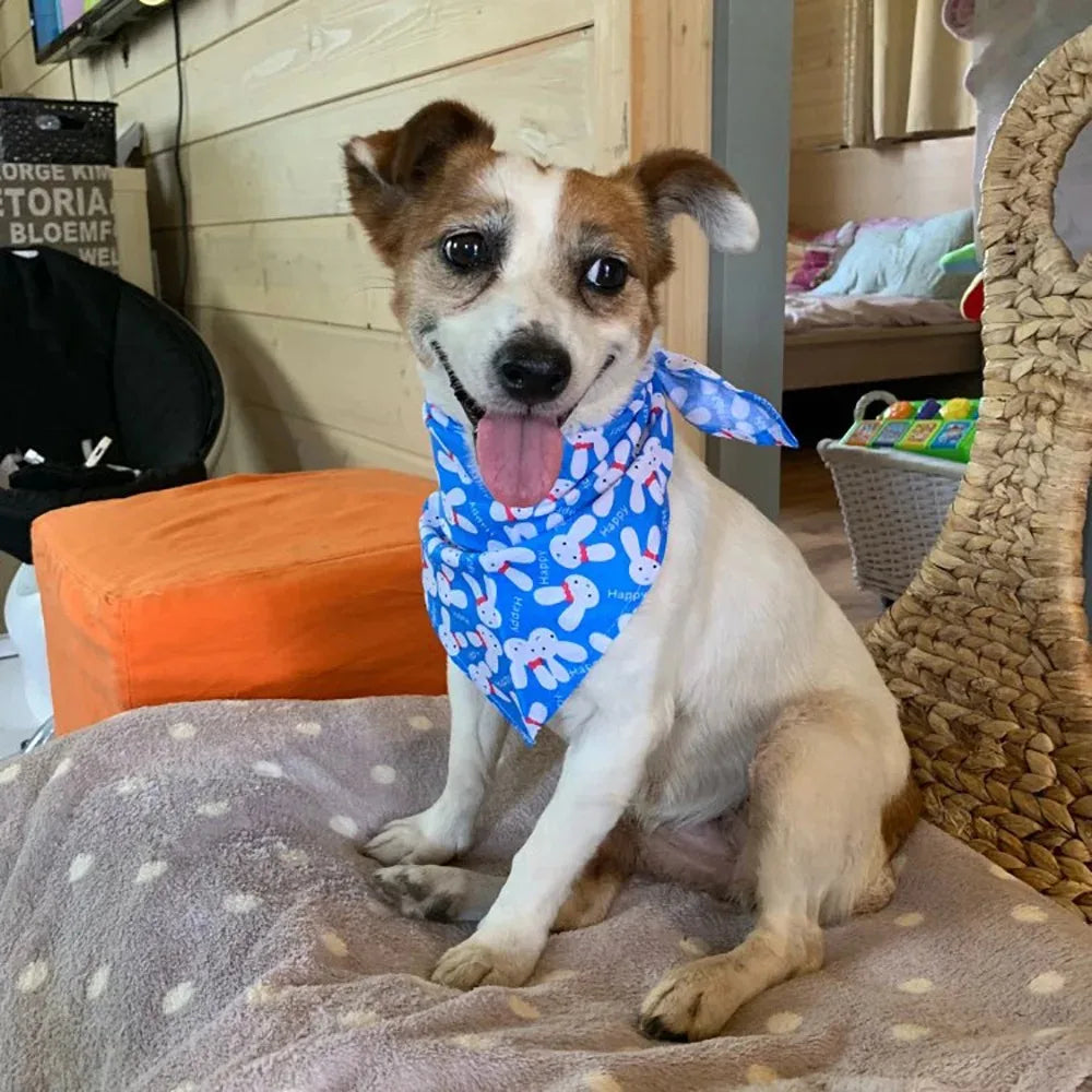 Cotton Triangle Bandana for Dogs and Cats