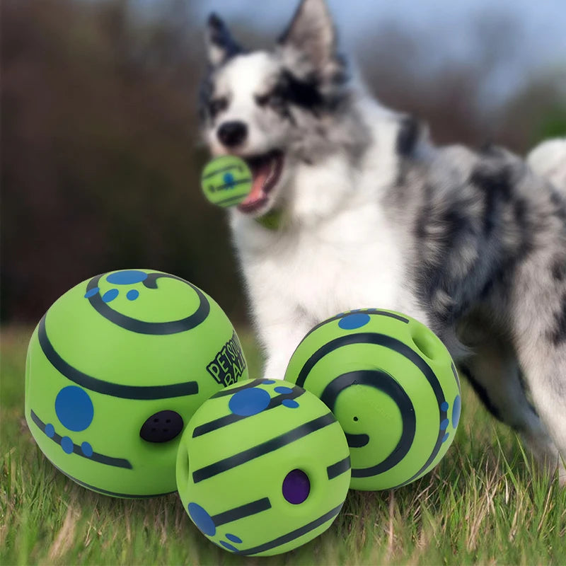 A fluffy dog is looking at several bright green interactive wobble balls on grass.