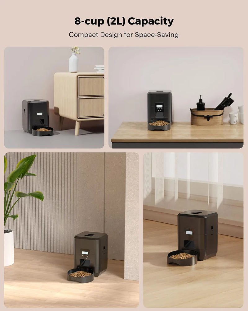 Automatic Pet Feeder with Timed Dispenser for Cats and Dogs