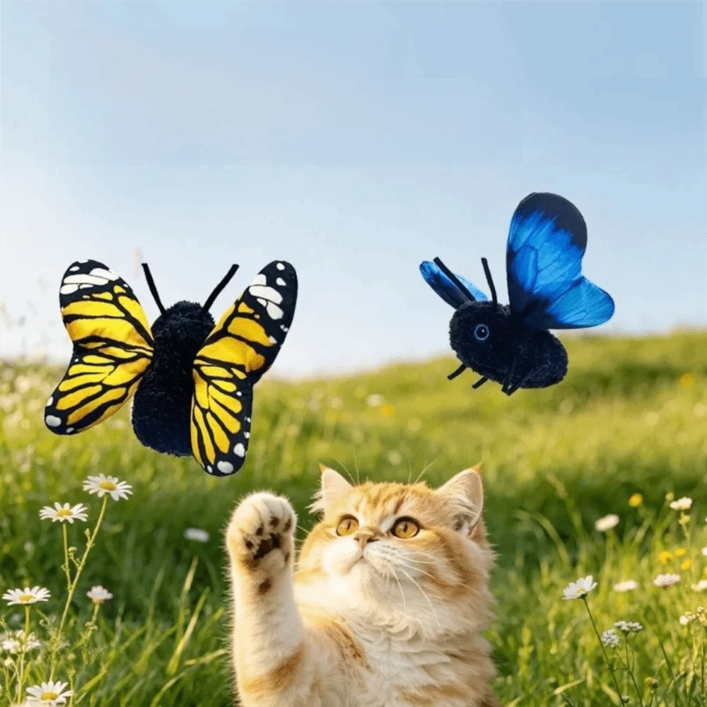 A fluffy orange cat looks up at a blue butterfly flying in a green meadow.
