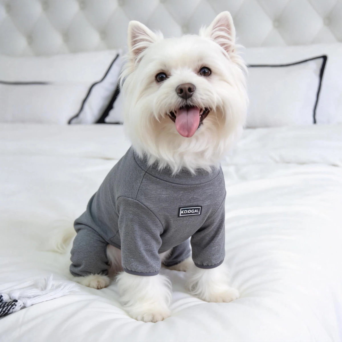 Cozy High-Collar Dog Pajamas – Four-Legged Sleepwear for Large Breeds