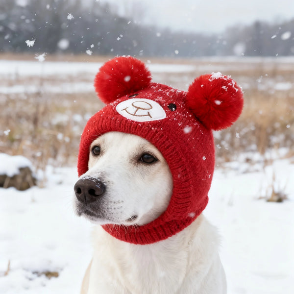 A white dog wearing a red knitted winter hat with bear ears in a snowy outdoor setting.