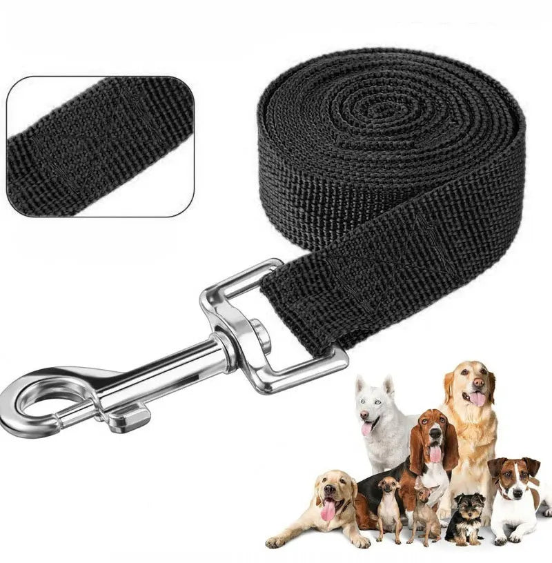 Black nylon dog training leash with a silver clip and a coiled lead.