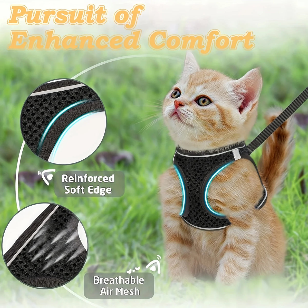 An orange kitten wearing a black harness and leash set for enhanced comfort, featuring reinforced soft edges and breathable a